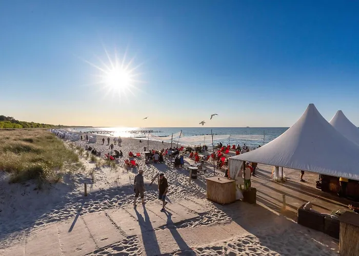 Windflüchter * Ostseeheilbad Zingst